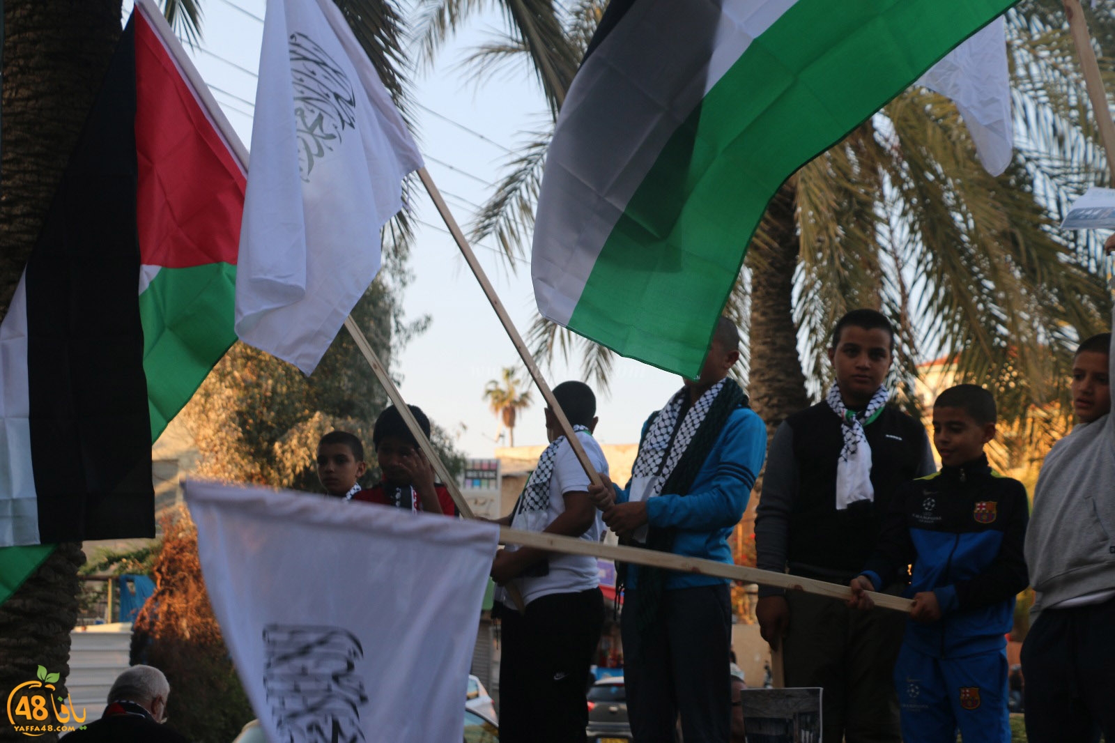 yaffa modahara jeq (14).jpg